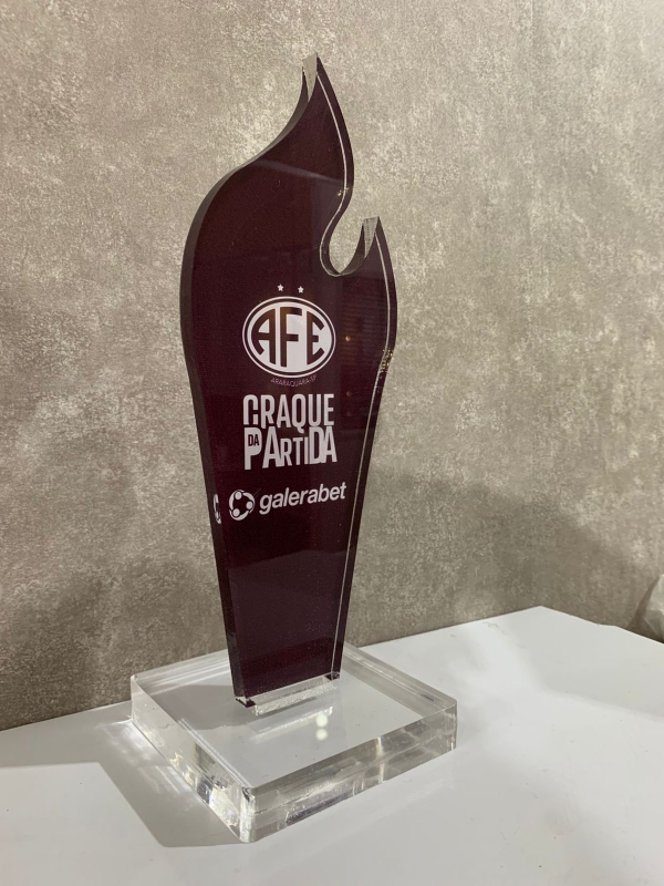 Troféu Personalizado em Acrílico 12x16 cm – Reconhecimento e Elegância - Image 8