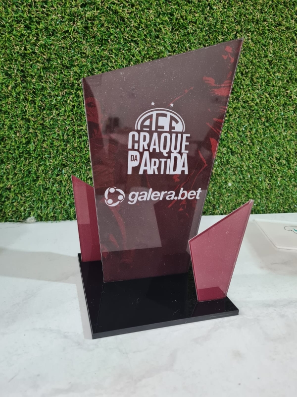 Troféu Personalizado em Acrílico 12x16 cm – Reconhecimento e Elegância - Image 6