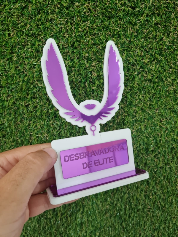 Troféu Personalizado em Acrílico 12x16 cm – Reconhecimento e Elegância - Image 2